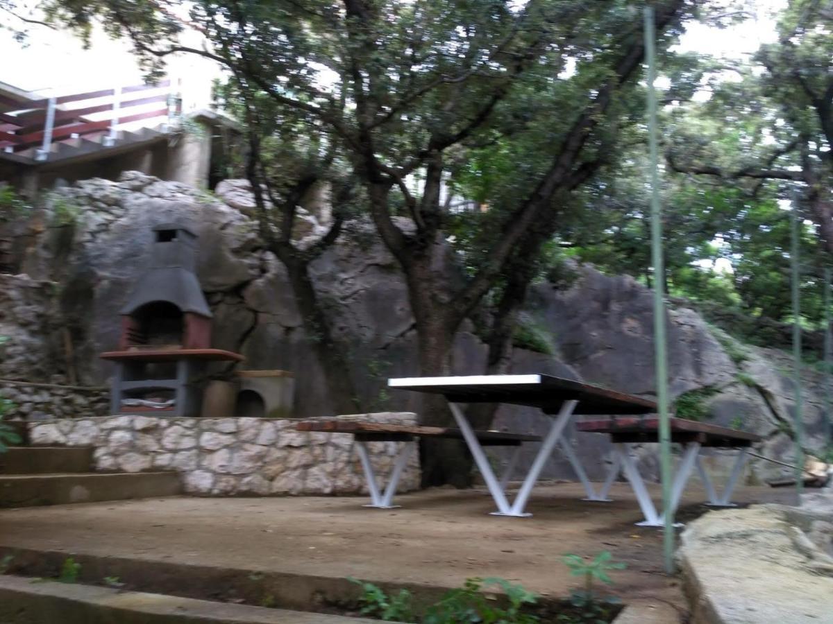 Apartments Ljerka 斯塔拉诺瓦利亚 外观 照片